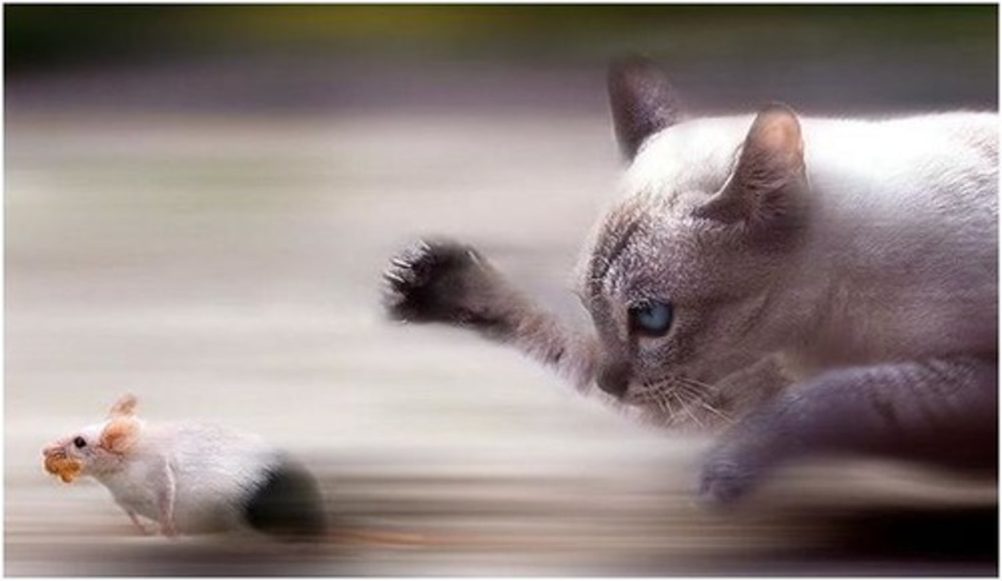 <p>bắt kịp ai, cái gì </p>