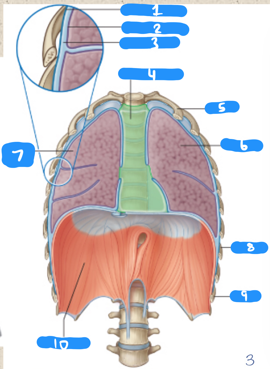 <p>1-5</p>