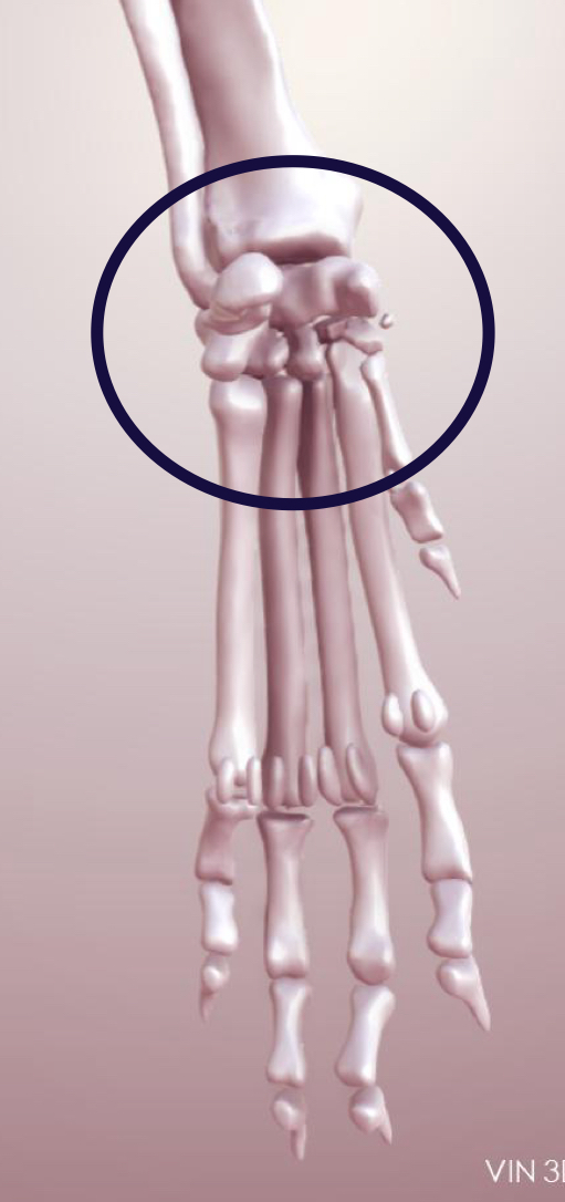 <p>What type of joint is in this photo?</p>