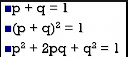 <p>Hardy Weinburg Equations</p>