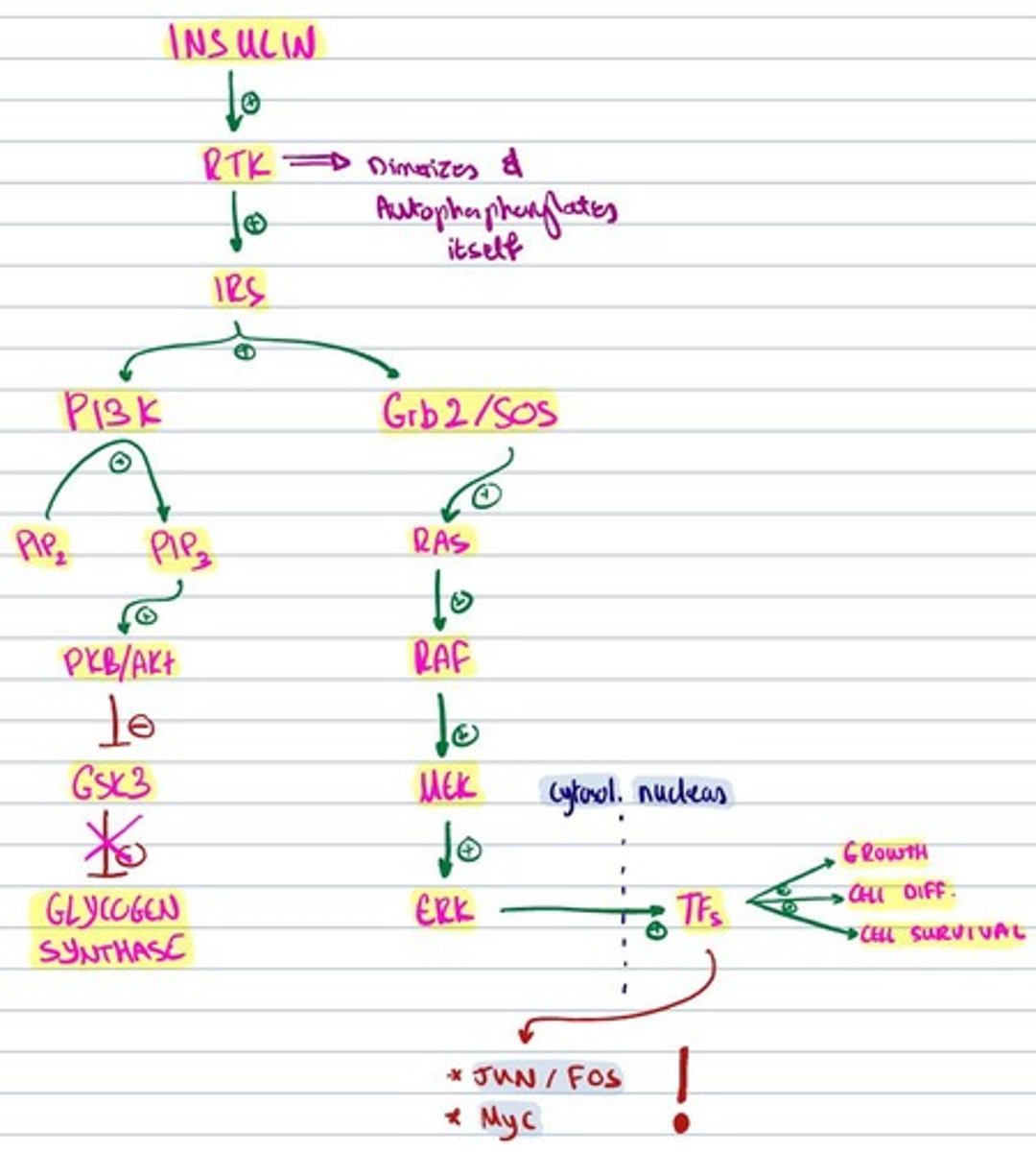 knowt flashcard image