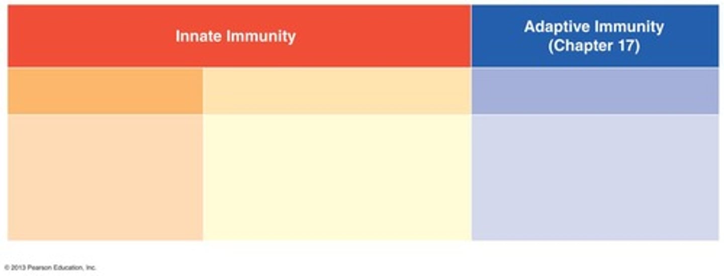 <p>Specialized defenses against a specific pathogen</p>