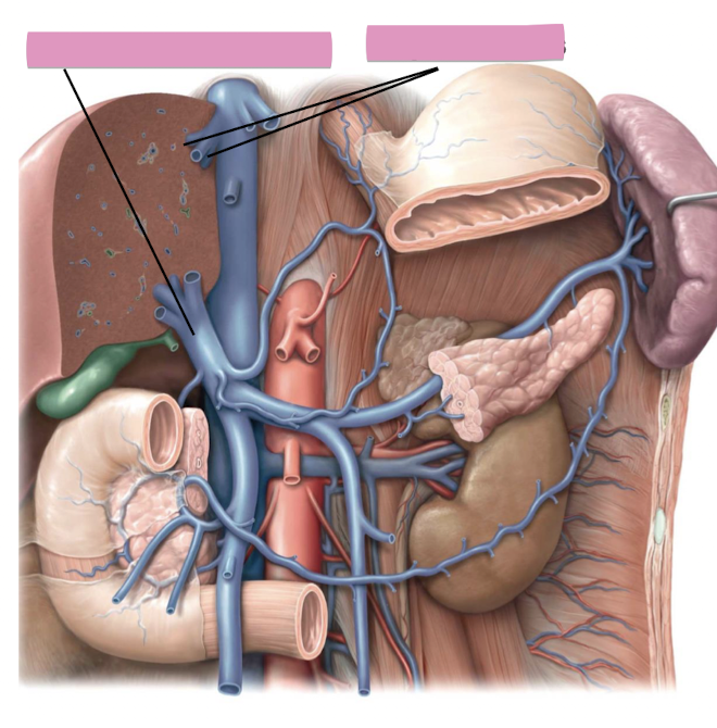 <p>Fill in the blank </p>