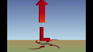 <p>low air pressure</p><p>wet conditions</p><p>convergent</p><p>counterclockwise motion</p><p>upward</p><p>warm weather </p>