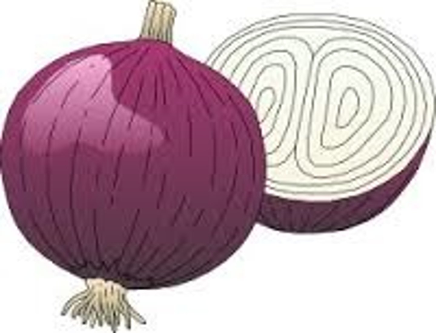 <p>onion</p>