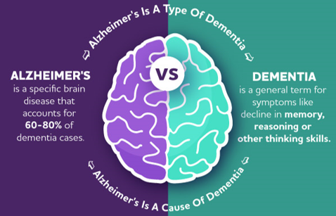 <p>Non, c&apos;est un <mark data-color="green">terme général qui regroupe</mark> les différentes maladies qui affectent le cerveau, telles que :</p><ul><li><p>Alzheimer (la cause la plus courante de démence)</p></li><li><p>Parkinson</p></li><li><p>Démence vasculaire</p></li><li><p>Démence à corps de Lewy</p></li></ul>