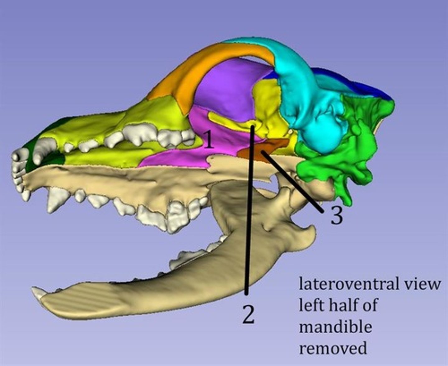 <p>2?</p>