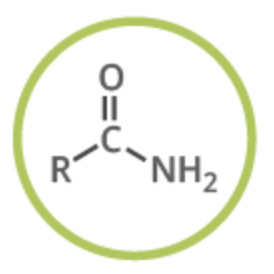 <p>functional group</p>
