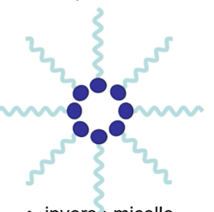 <p>inverse micelle</p>