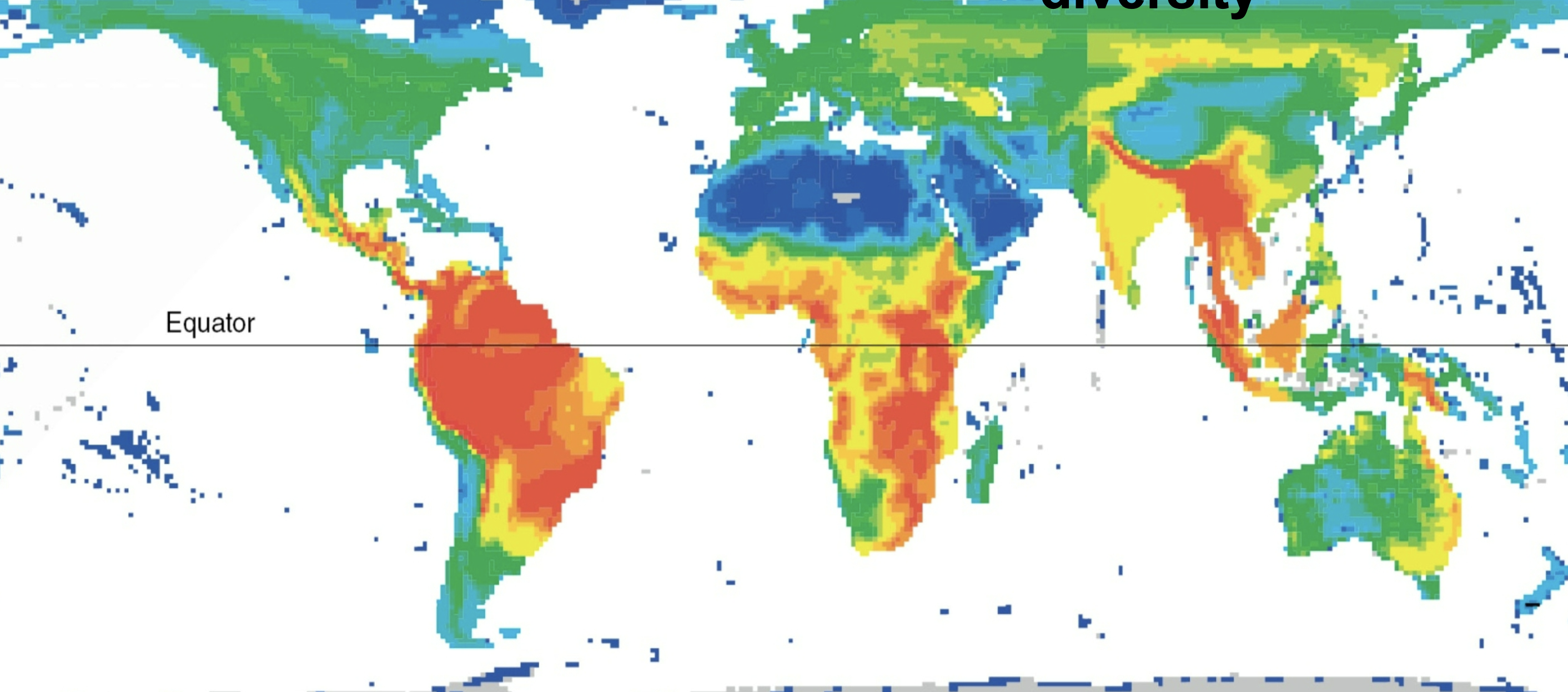 <p>Highest bird diversity of any areas on Earth.</p>