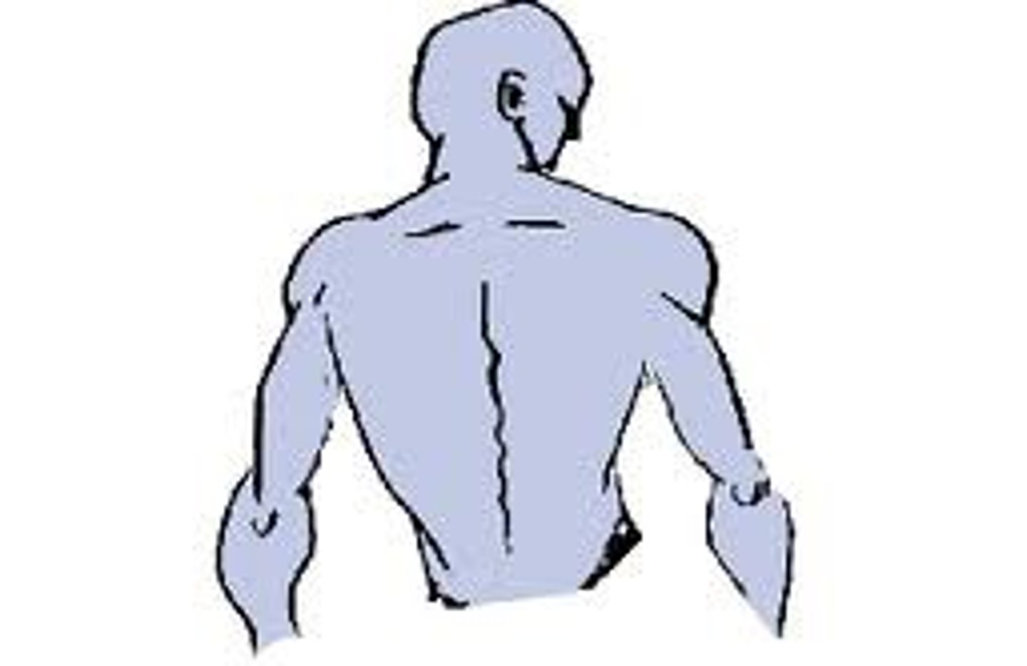 <p>bèi</p><p>back</p>