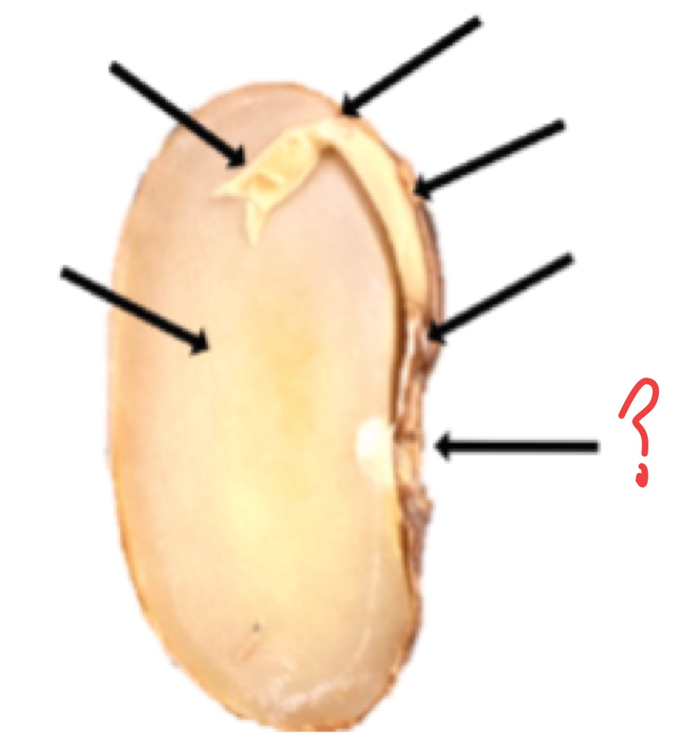 <p>What is this?</p>