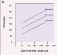 <p>type of gene-environment interactions and effects on health risk </p>