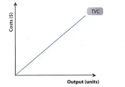 <p>c<span><span>osts that change in proportion with the level of output or sales eg hourly wages, raw materials, packaging utilities</span></span></p>