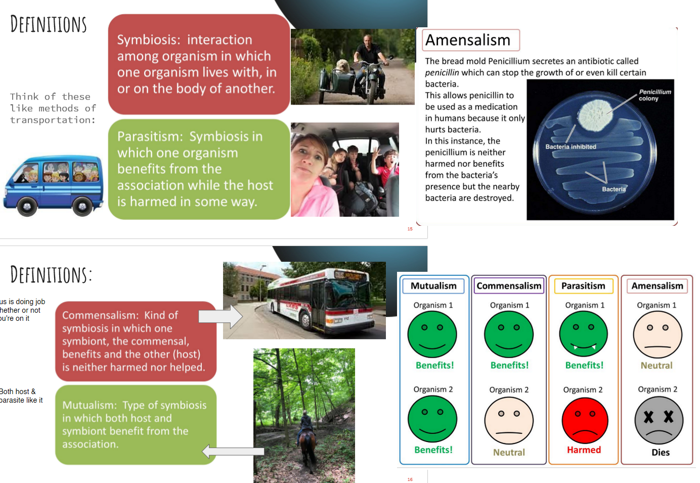 <ol><li><p>interaction among organisms where 1 lives w/ in or on the body of another</p></li></ol><p>…</p><ol><li><p>1 organism benefits, the other is harmed (e.g. heartworms in dog)</p></li><li><p>1 organism (the commensal) benefits, the other (the host) isn’t harmed nor helped (e.g. barnacles on whale)</p></li><li><p>both host &amp; symbiont benefit (e.g. bees &amp; flowers)</p></li><li><p>1 dies, the other is unaffected (e.g. goats eating flowers)</p></li></ol><p></p>