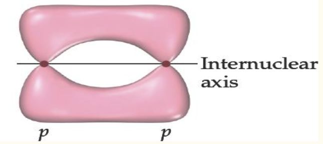 <ul><li><p>sideways overlap</p></li><li><p>electron density above and below the internuclear axis</p></li></ul><p></p>