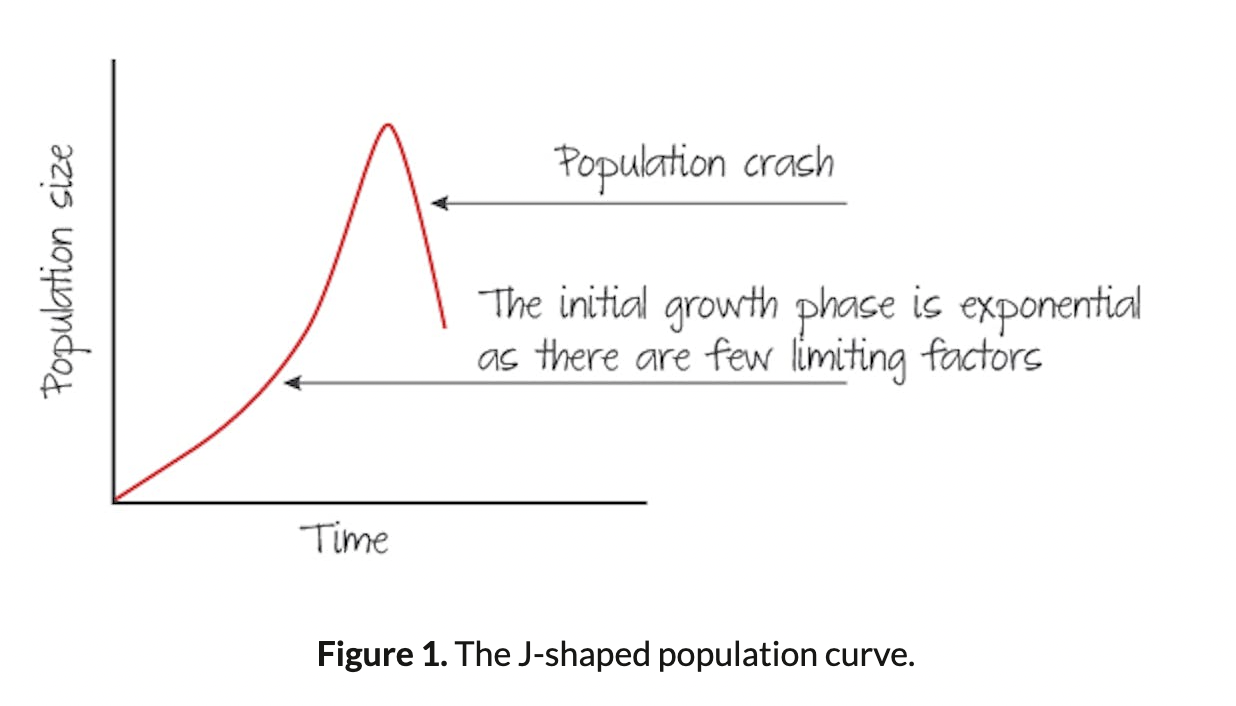 <p>Exponential growth under ideal conditions with plenty of resources and limited competition. Population continues to grow until enviromental resistance takes effect (could be organisms have used all the resources available).</p><p>Organisms which follow this graph generally show great fluctation and a boom and bust pattern in population numbers.</p>