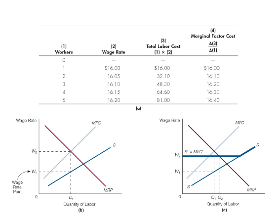 <p>A single buyer in a factor market</p><p>A monopsony cannot buy additional units of a factor without increasing the price it pays for it. </p><p>Supply curve of the factor is not the same as the firm’s MFC curve.</p><p>MFC > Wage rate</p><p>(explanation of graph: <span>For the monopsonist, </span><em>MFC</em><span> > wage rate. This relationship implies that the supply curve the monopsonist faces lies below its </span><em>MFC</em><span> curve. (b) The monopsonist purchases quantity of labor and pays a wage rate W1, which is less than </span><em>MRP</em><span>. (In other words, labor is being paid less than its </span><em>MRP</em><span>.) (c) If the labor union succeeds in increasing the wage rate from to through collective bargaining, then the firm will also hire more labor ( Q2 instead of Q1). We conclude that, in the case of monopsony, higher wage rates (over a given range) do not imply fewer persons working.</span></p>