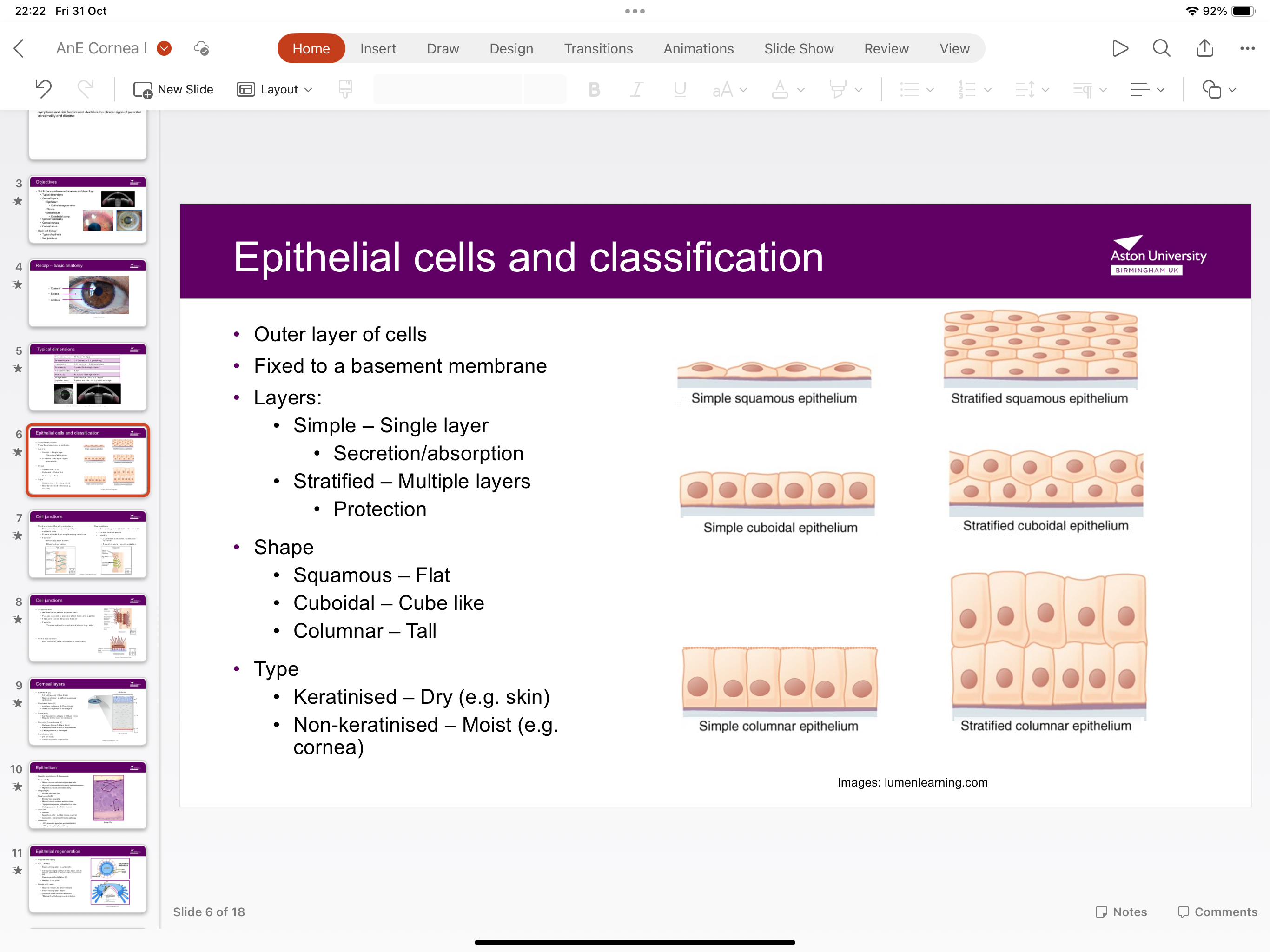 <p>Simple squamous epithelium has a single layer for secretion and absorption. Stratified squamous epithelium has multiple layers for protection</p>