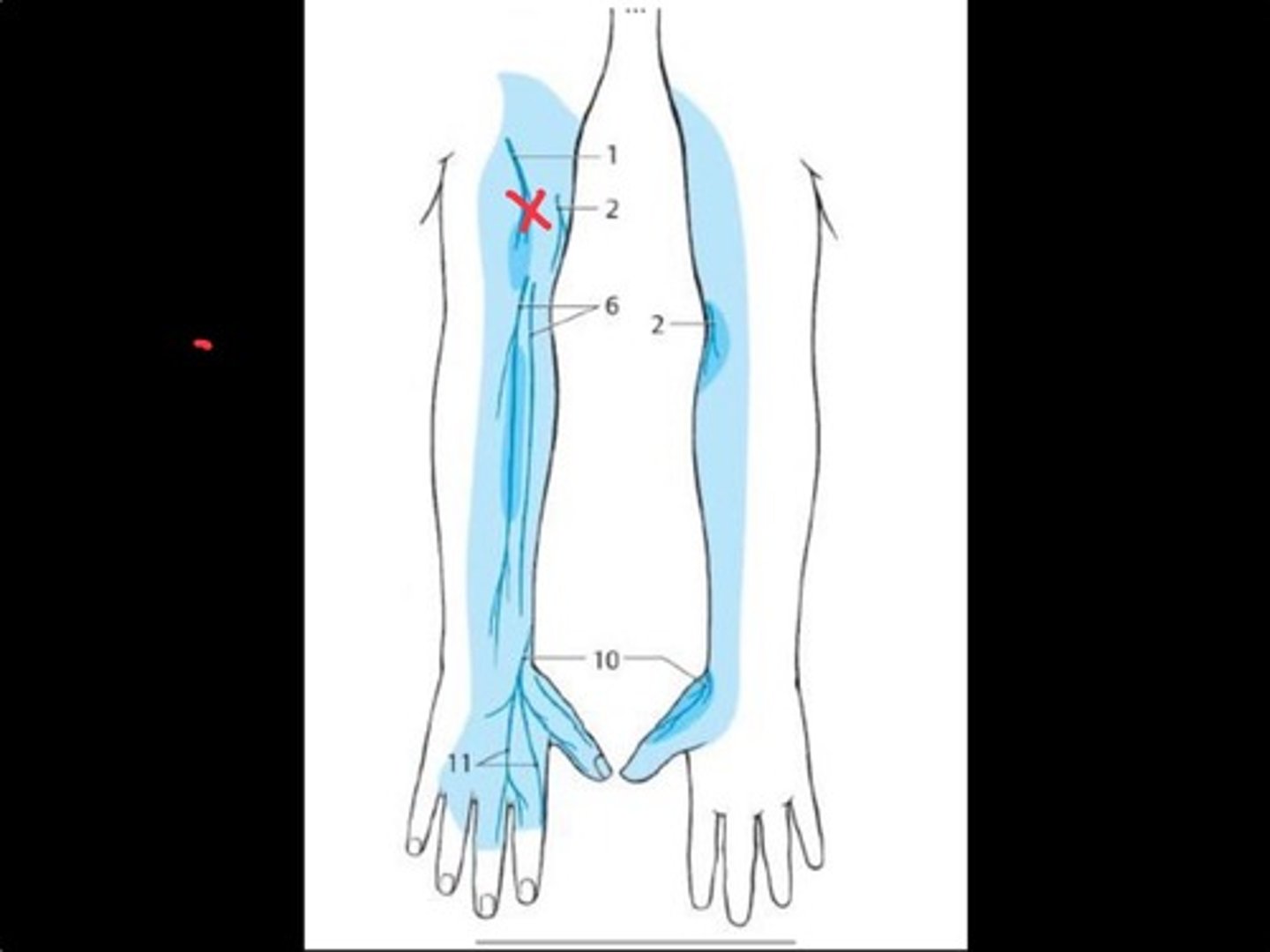 knowt flashcard image