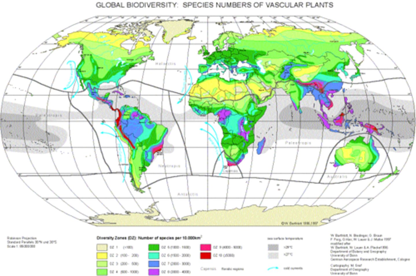 <p>the number, variety, and variability of Earth's organisms that consists of three level of diversity</p>