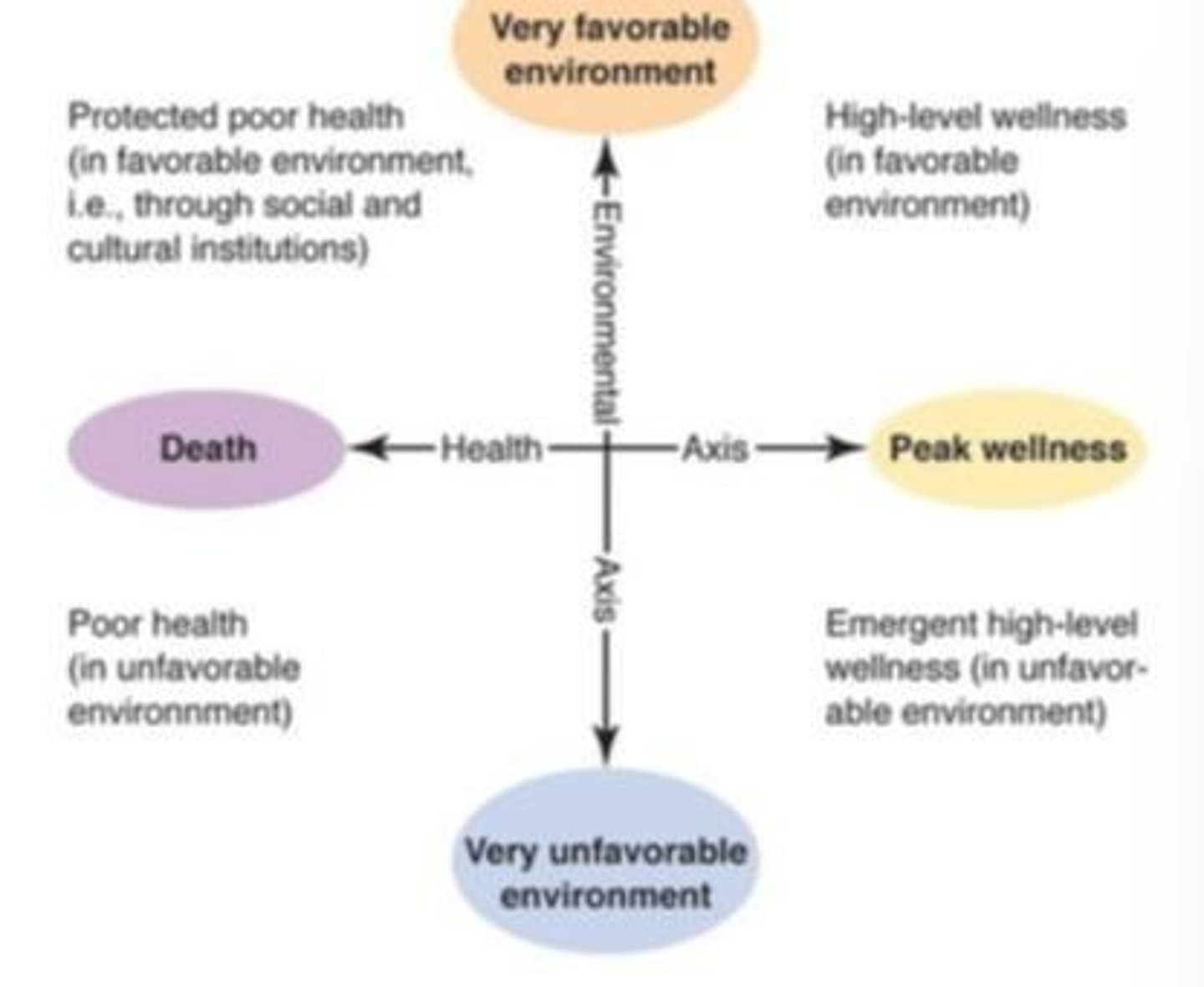 <p>Range from peak wellness to death.</p>