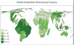 <p>Cartogram map</p>