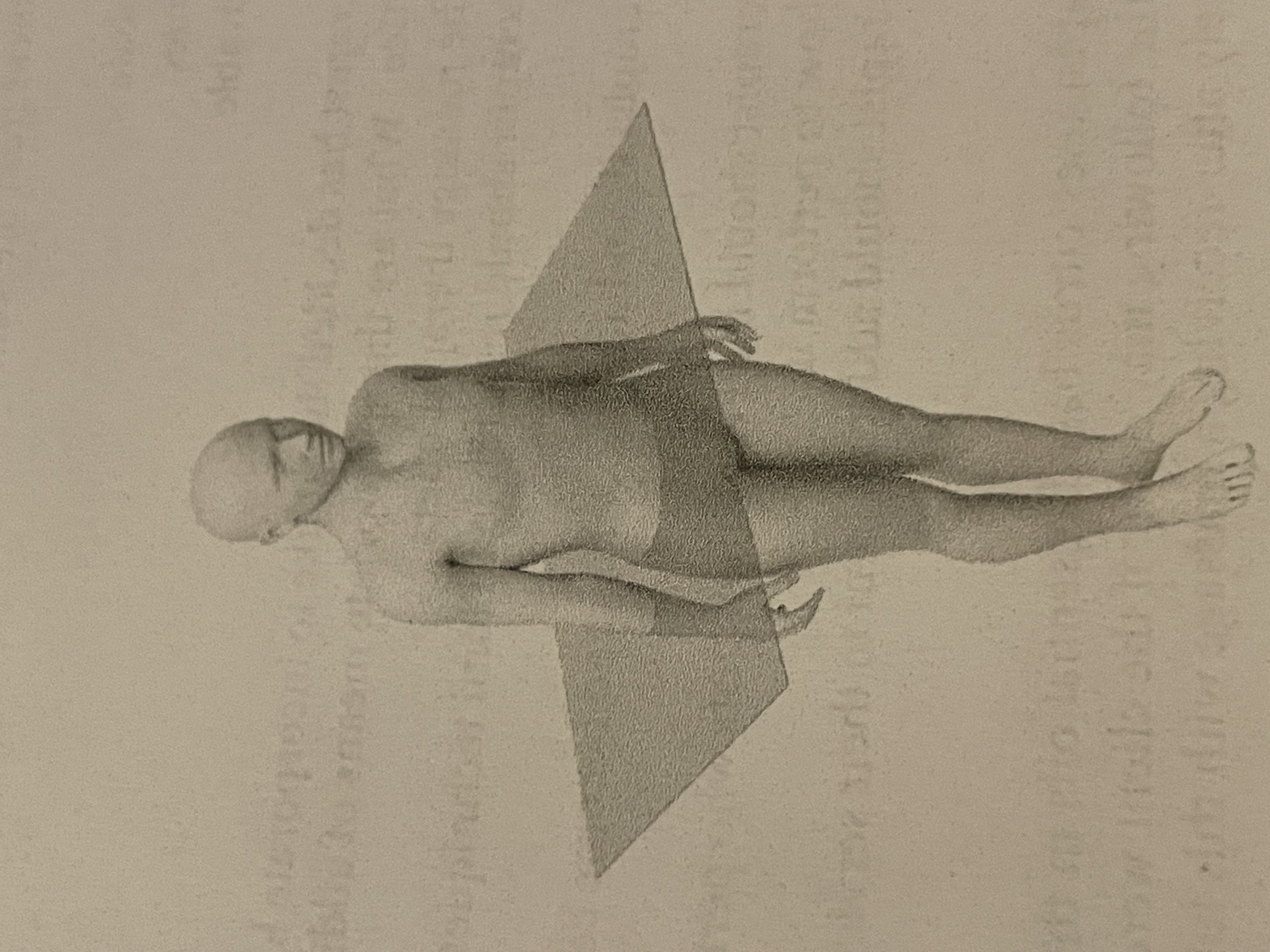 <p>Which of the following is a movement that takes place along the pictured body plane</p>