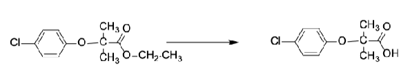 <ol><li><p>which fibrates are PRODRUGS and require ester hydrolysis?</p></li><li><p><em>para-</em>substitution of aromatic ring with _________ produces compounds with significantly <strong>LONGER _________</strong></p></li><li><p>_______________ group essential for activity</p></li></ol><p></p>