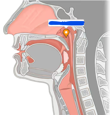<p>Name the structure</p>