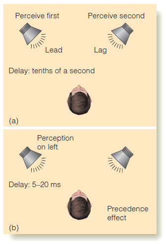 <p><span>When sound is presented first in one speaker and then in the other, with enough time between them, they are heard separately, one after the other. (b) If there is only a short delay between the two sounds, then the sound is perceived to come from the lead speaker only.</span></p>