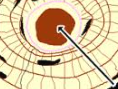 <p>PART OF THE BONE:</p><p>-<strong>allow blood vessels and nerves to travel through them to supply the osteocytes</strong><span>.</span></p><p><span>-a series of microscopic tubes in the outermost region of bone called cortical bone.</span></p>