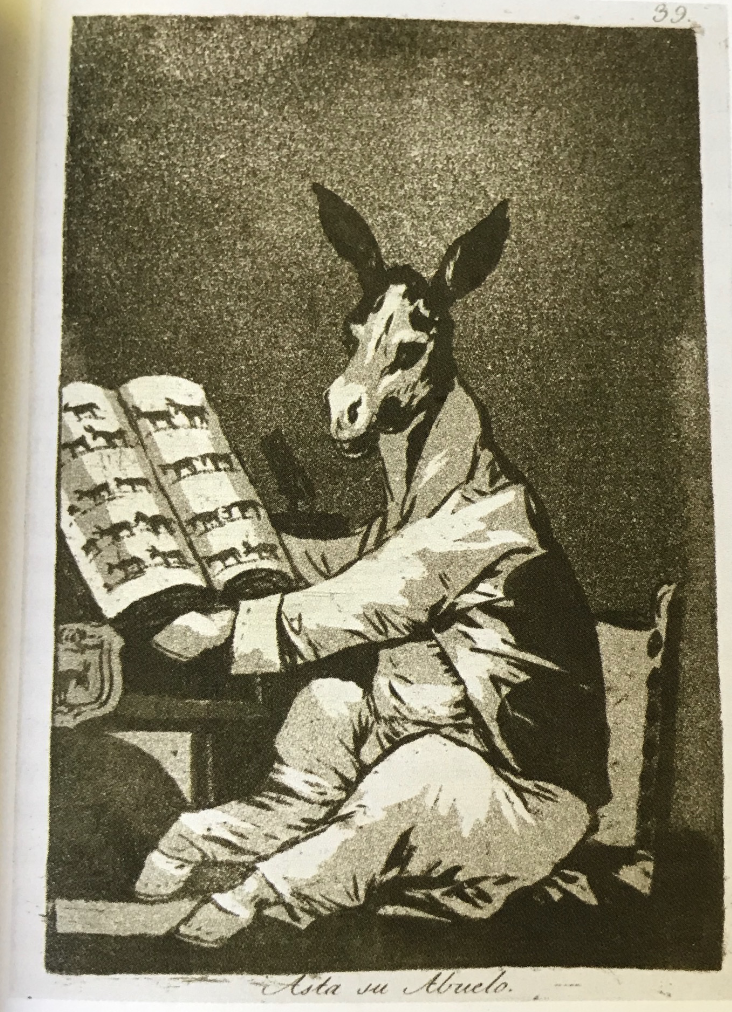 term image