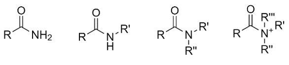 <p>-amide</p>