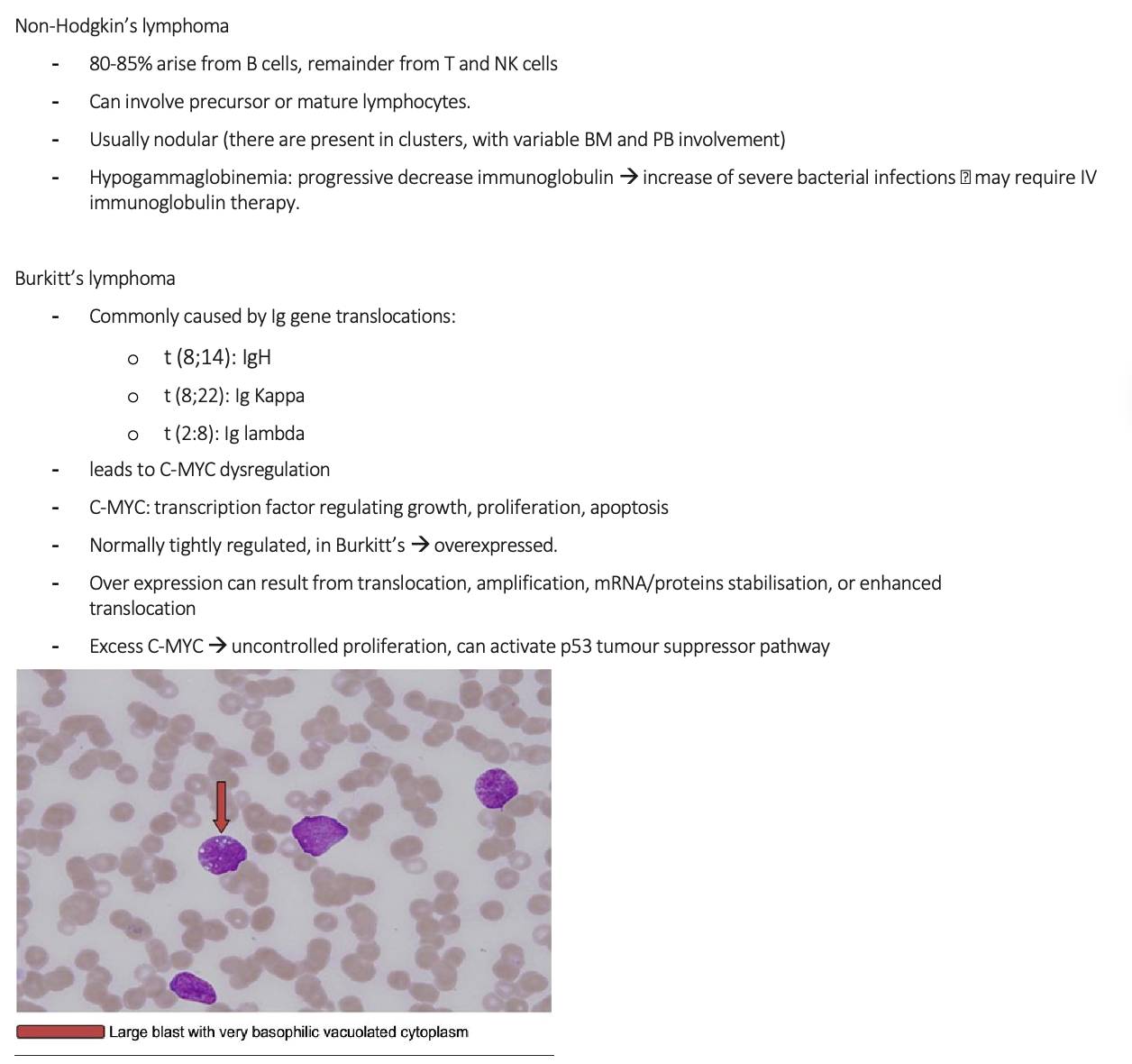 knowt flashcard image