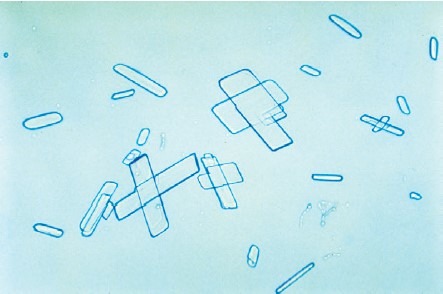 <p></p><p>tricky pt 2. </p>