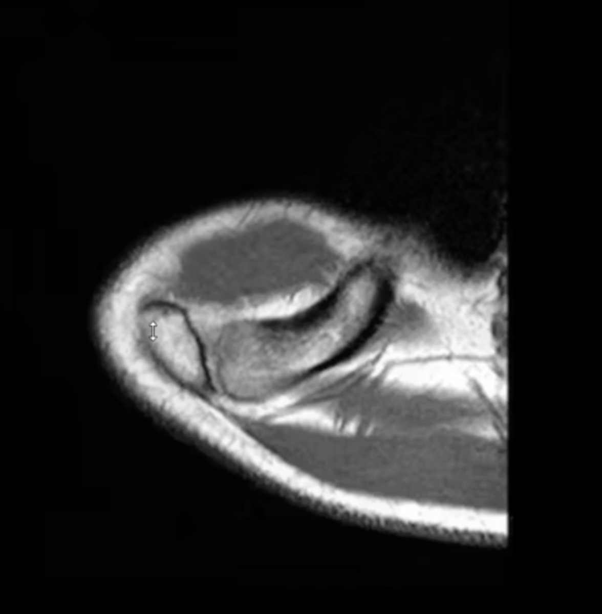 <p>What is this image depicting?</p>