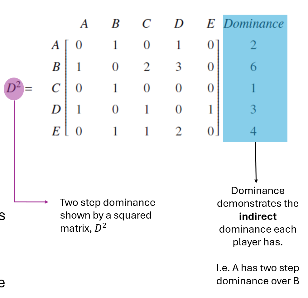 <ul><li><p>Represents <strong>indirect dominance</strong> via one intermediary</p></li><li><p>Found by <strong>squaring the one-step dominance matrix</strong></p></li><li><p>Example: A beat B, who beat C → A two-step dominates C</p></li><li><p>Helps break ties when players have equal direct wins</p></li><li><p>Reveals deeper hierarchy beyond immediate wins</p></li></ul><p></p>