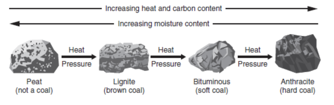 Figure 10.1 Types of coal.
