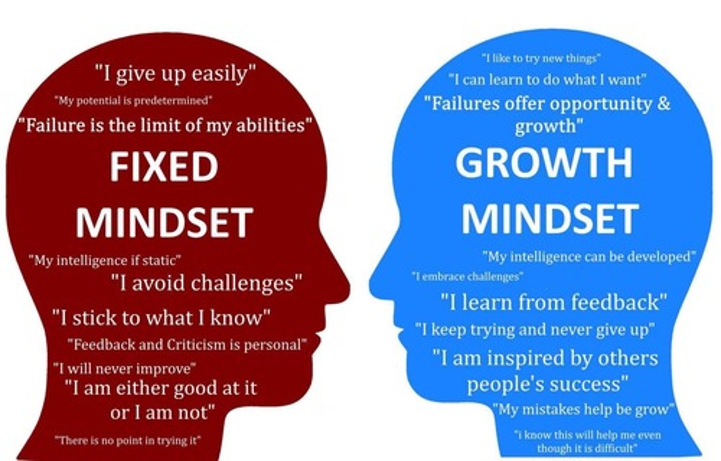 <p>Belief that effort can improve abilities.</p>