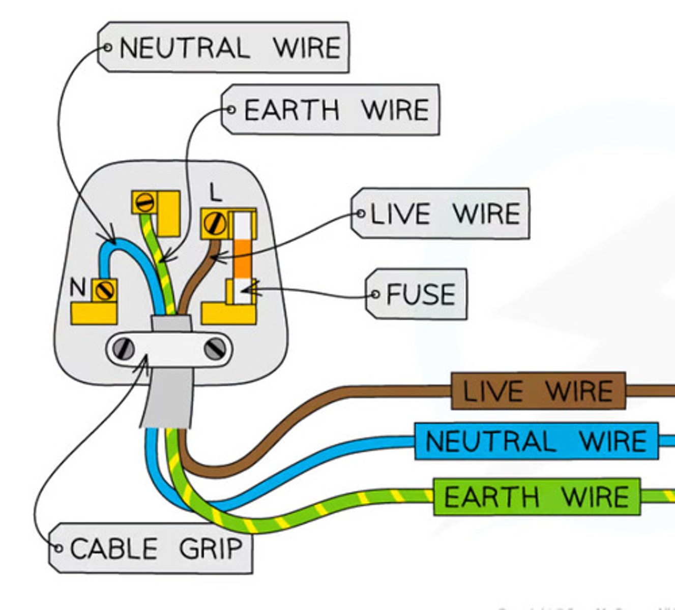 <p>Middle</p>
