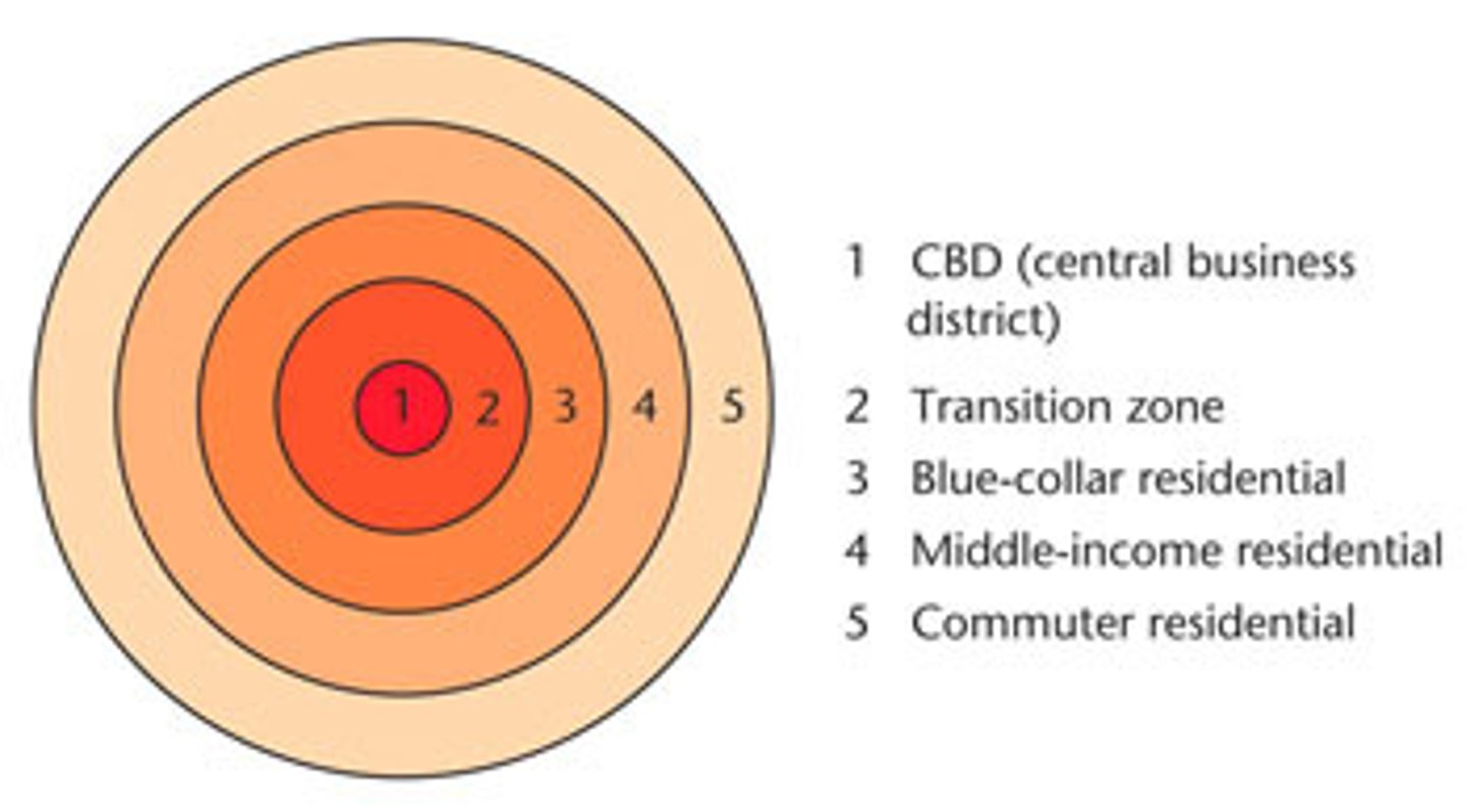 <p>Developed in the 1920's by E.W. Burgess, the concentric zone model was the first model to explain and predict urban growth. Central business district, light manufacturing and whoelsale, lower-class residential, middle class residential, most exclusive residential.</p>
