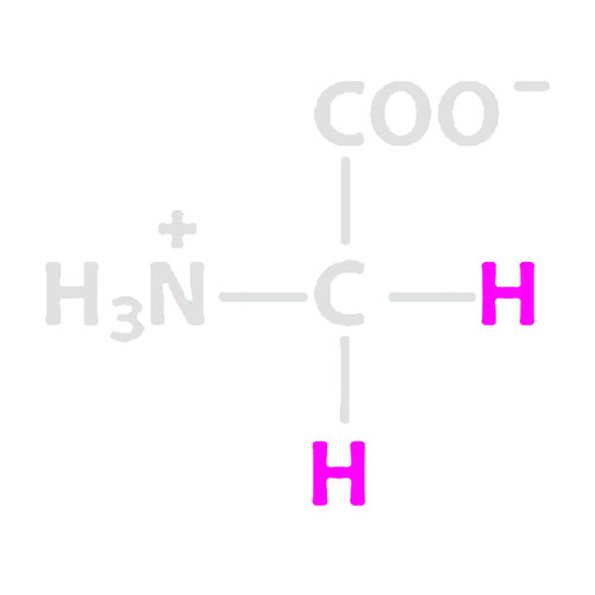 <p>List the symbol and abbreviation for Glycine (follows the pattern)</p>