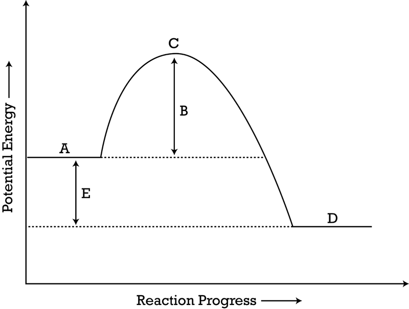 <p>what does E represent? is this reaction endothermic or exothermic?</p>