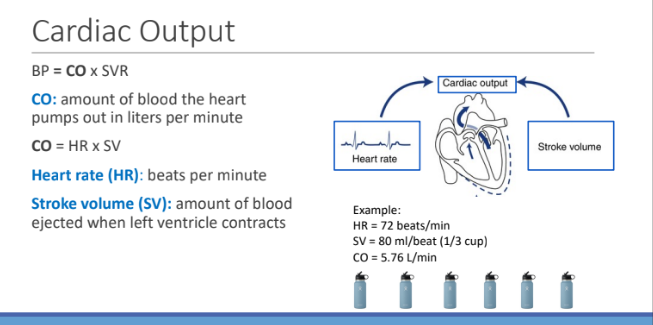 <p>Heart rate (beats per min) x Stroke volume (amount of blood ejected when left ventricle contracts) </p>