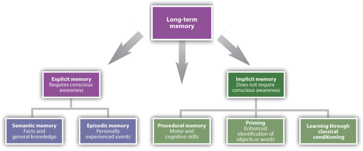 <p>nearly permanent storage space to hold experiences and information you've learned</p>