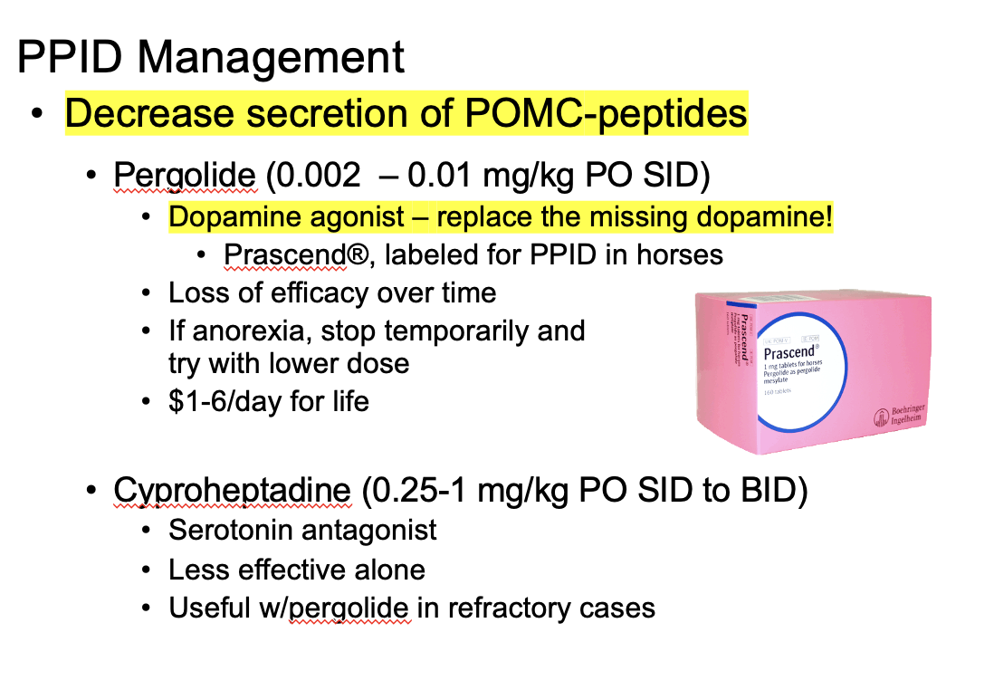 <p>Removal of affected pituitary tissue </p><p>but not an option for horses </p><p>Medication management: decrease secretion of POMC-peptides</p><p>Using pergolide - a dopamine agonist </p>
