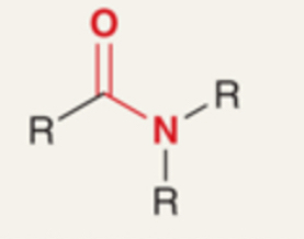 <p>Carbonyl group bonded to nitrogen (R–CO–NR'R'') or R–CONR'R''.</p>
