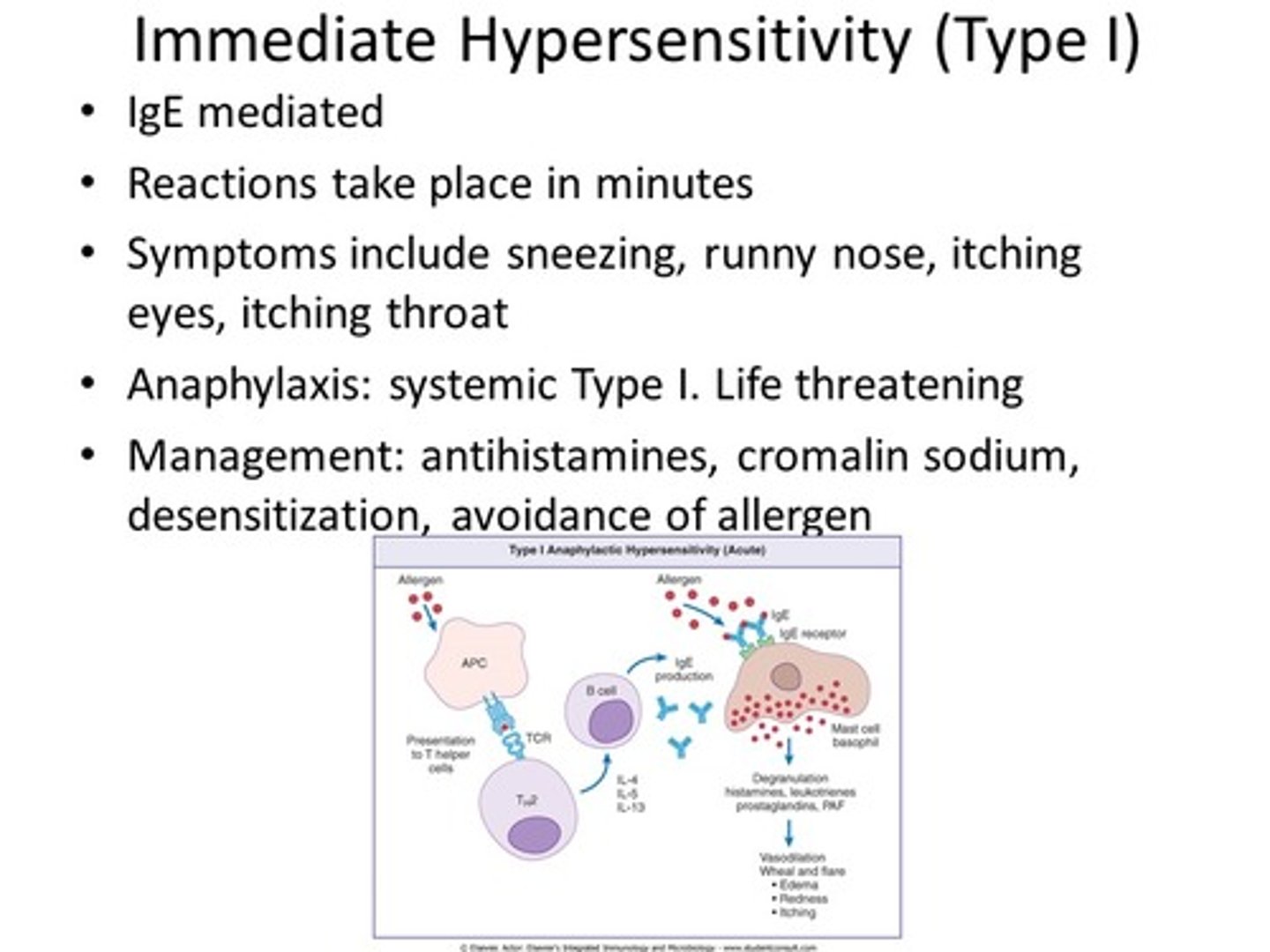 <p>Histamine release</p><p>immediate hypersensitivity response is the binding of allergen specific IgE to the mast cell surface</p><p>The mast cells release histamine which is an inflammatory mediator</p>