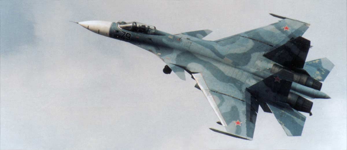 <p>FLANKER D, Sukhoi Su-33, Су-33 (Single seat, Airbrake, Canards, Wing folds)</p>